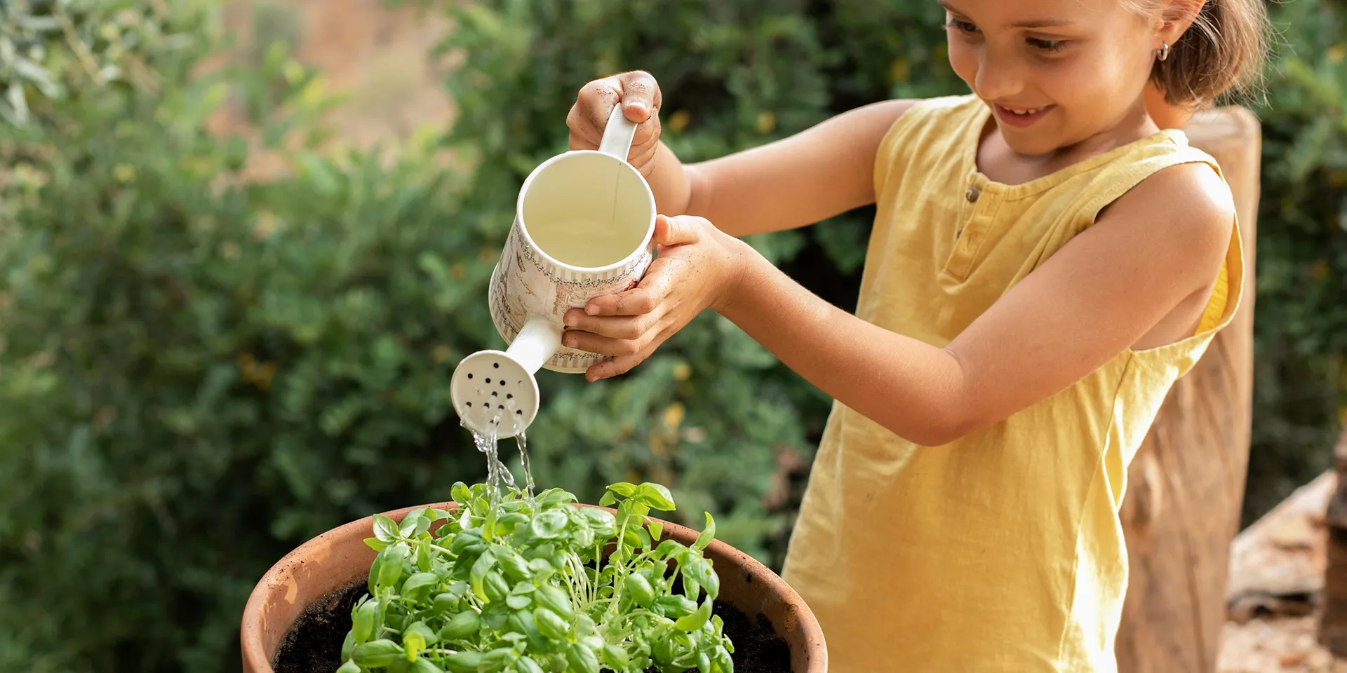Diversão em Família